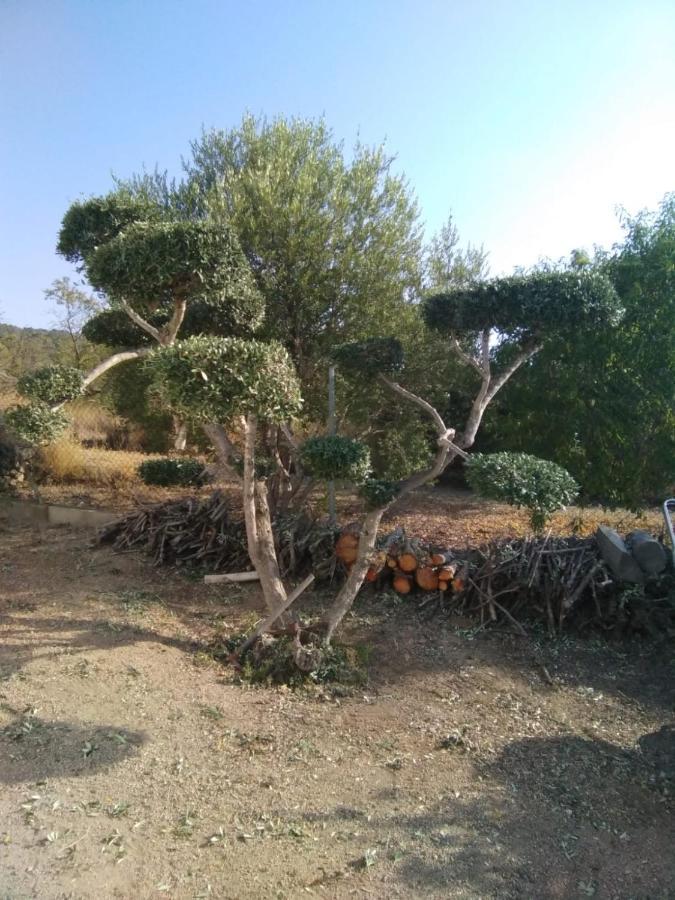 Lo Tros Villa Botarell Bagian luar foto