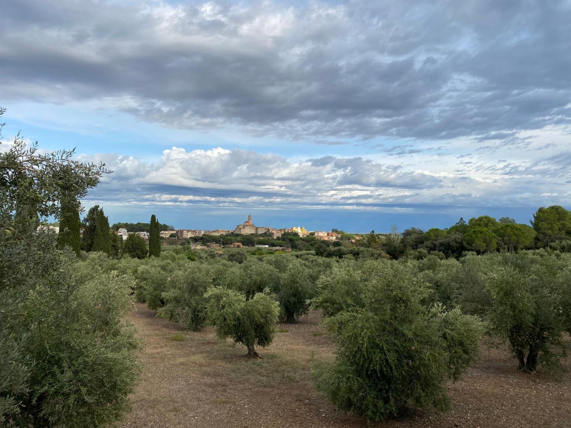 Lo Tros Villa Botarell Bagian luar foto