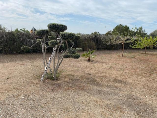 Lo Tros Villa Botarell Bagian luar foto